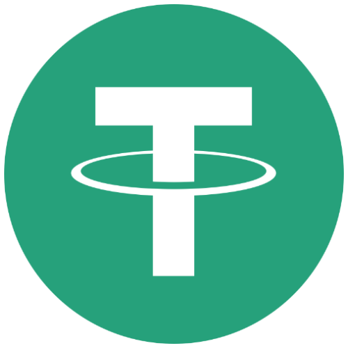 Spindipper accepts USTD (TRC:20)for all company formations.